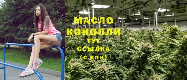 дживик Богородицк