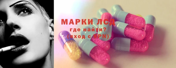дживик Богородицк