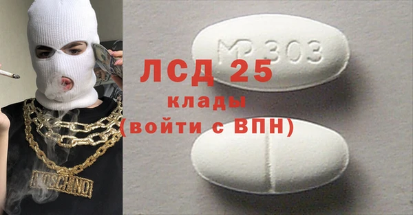 дживик Богородицк