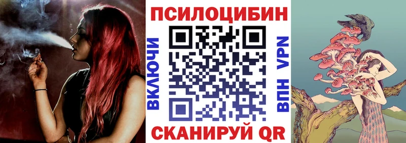 сколько стоит  МЕГА как зайти  Псилоцибиновые грибы Psilocybe  Кировск 