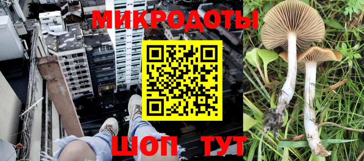Галлюциногенные грибы ЛСД  Вход с VPN  продажа наркотиков  Кировск 