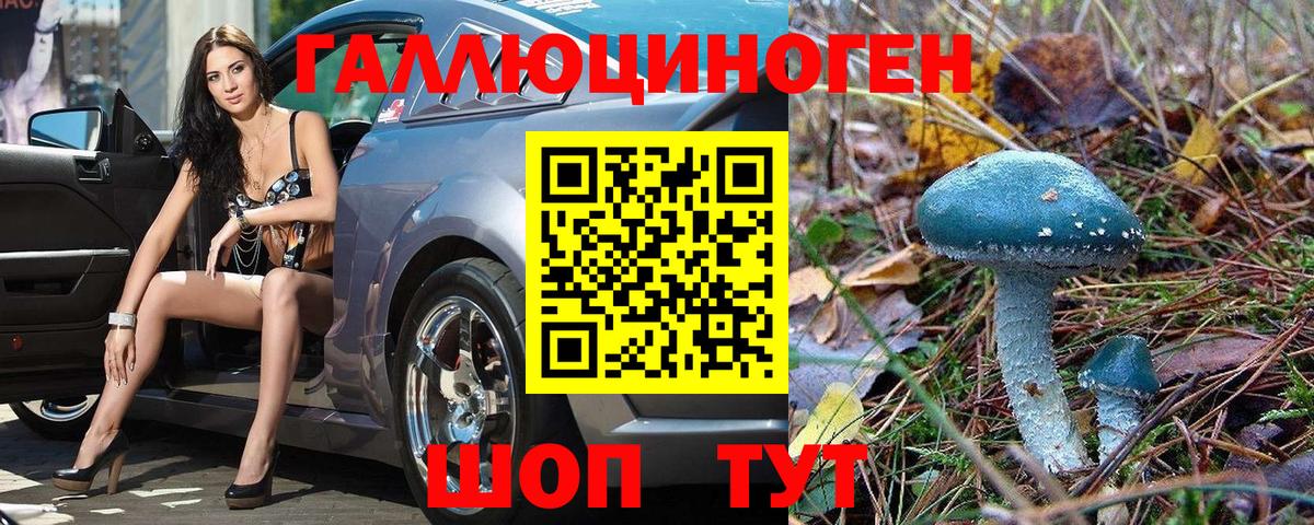 Галлюциногенные грибы GOLDEN TEACHER Кировск